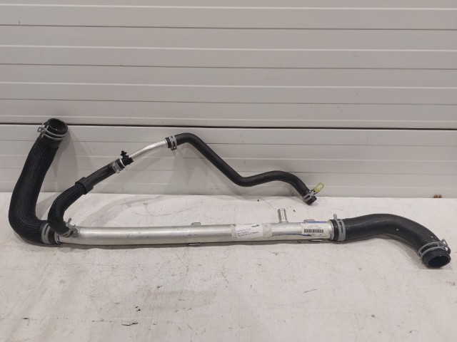 Lower Hose